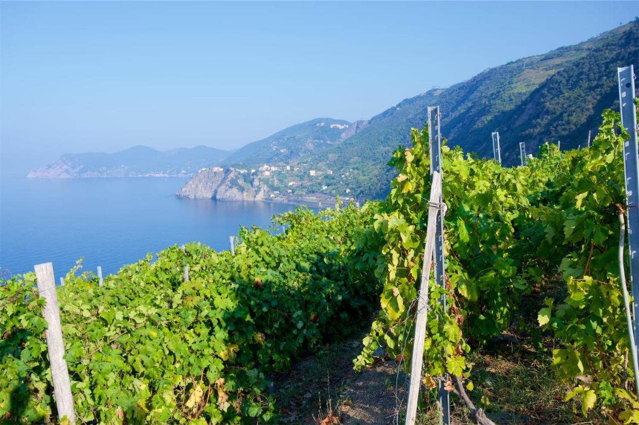 La tua Casa vicino a Portovenere Villa Le Grazie  Esterno foto